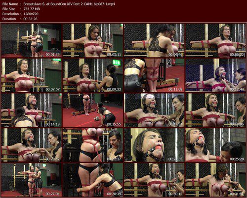 Breastslave%20S.%20at%20BoundCon%20XIV%20Part%202-CAM1%20bip087-1.t_m.jpg